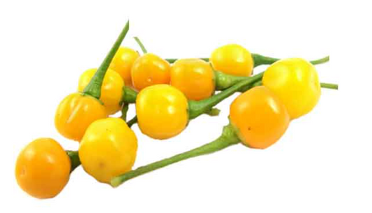 charapita pepper powder